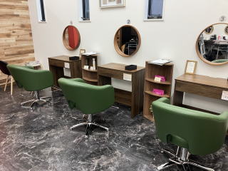 �w�A�J���[���X�J���[�Y�@�V�q��X